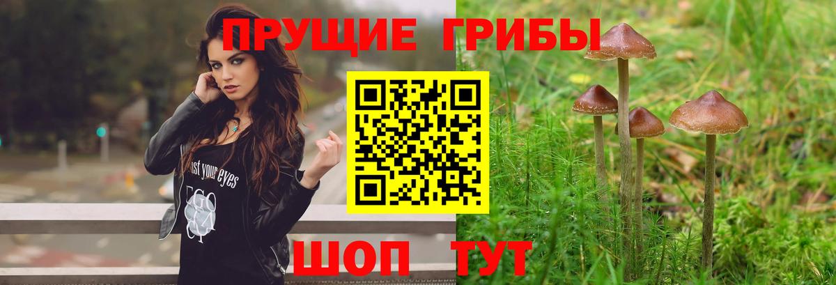 Советск  Галлюциногенные грибы мухоморы  Вход с VPN  Псилоцибиновые грибы Cubensis 